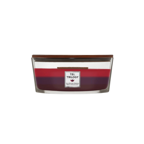 Ароматична свічка з ароматом пряної ожини та вишні Ellipse trilogy candle Sun ripened berries