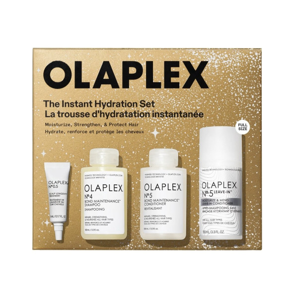Святковий набір для волосся The instant hydratation hair set