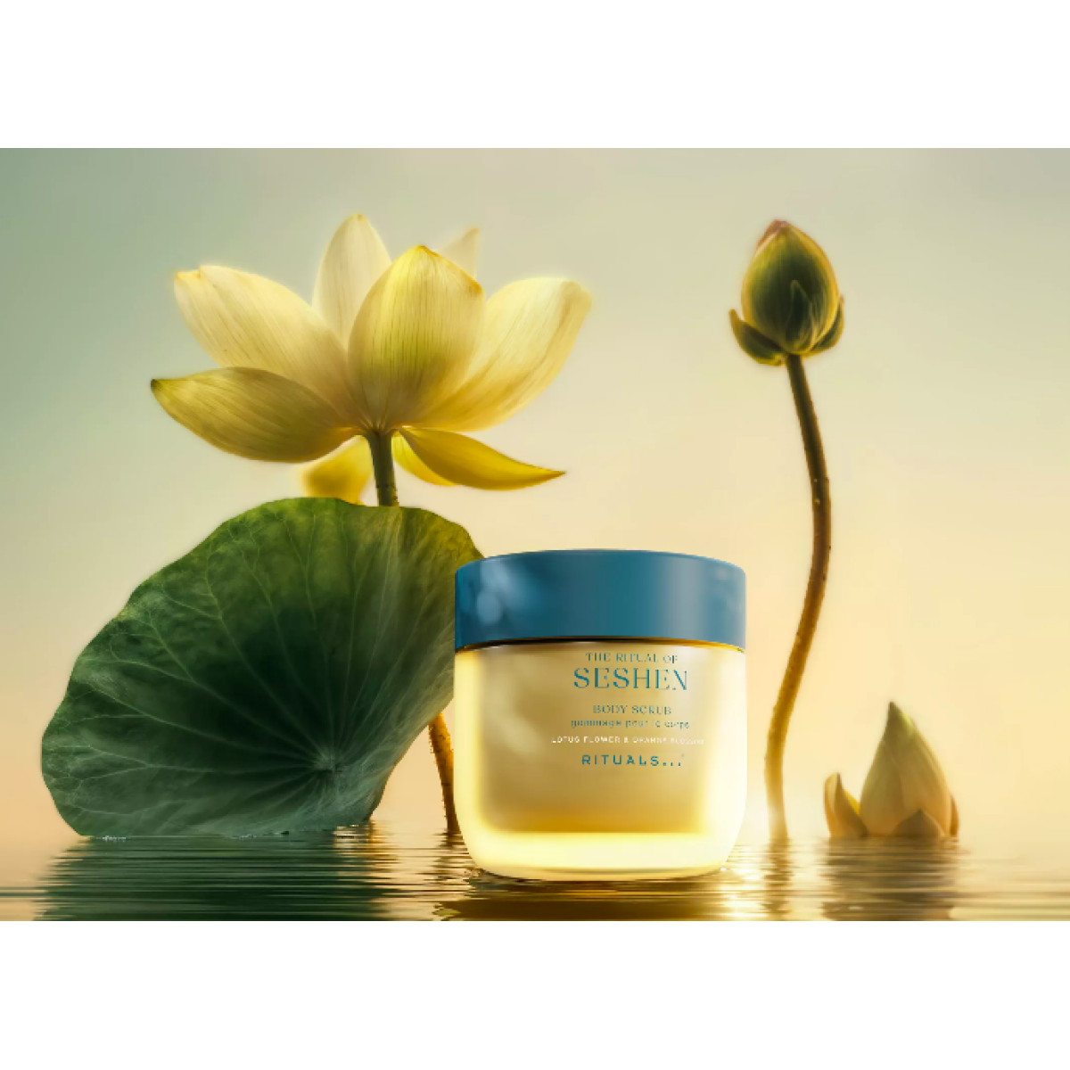 Подарунковий набір для тіла Body limited set Seshen