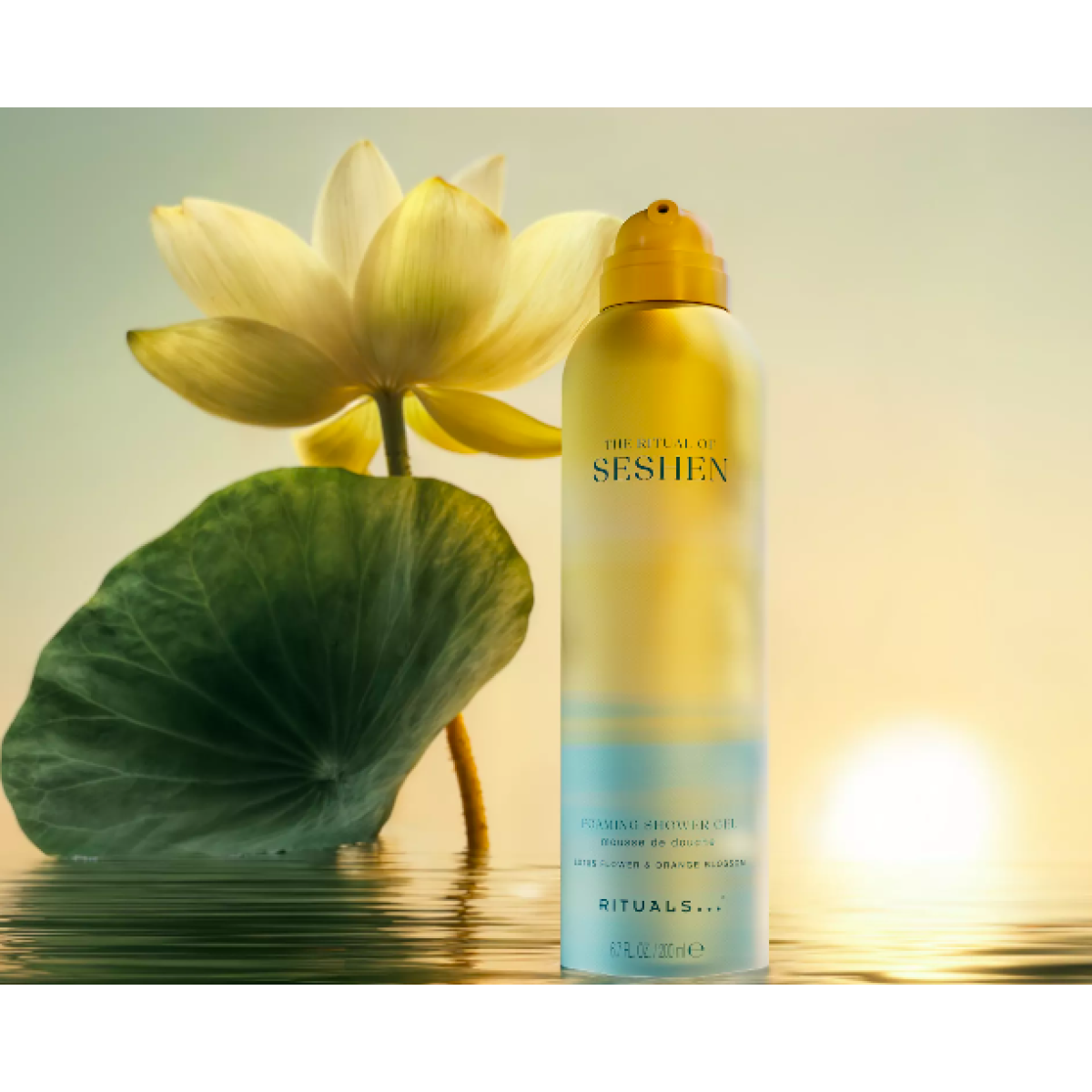 Подарунковий набір для тіла Body limited set Seshen